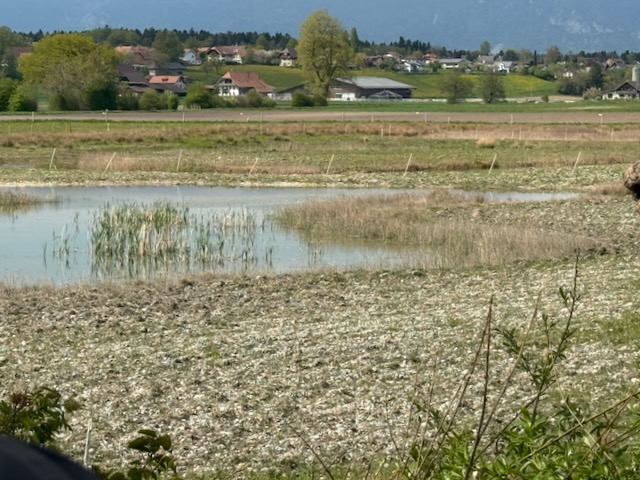 Wasserstelle
