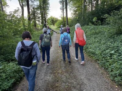 Wanderung durch den Wald