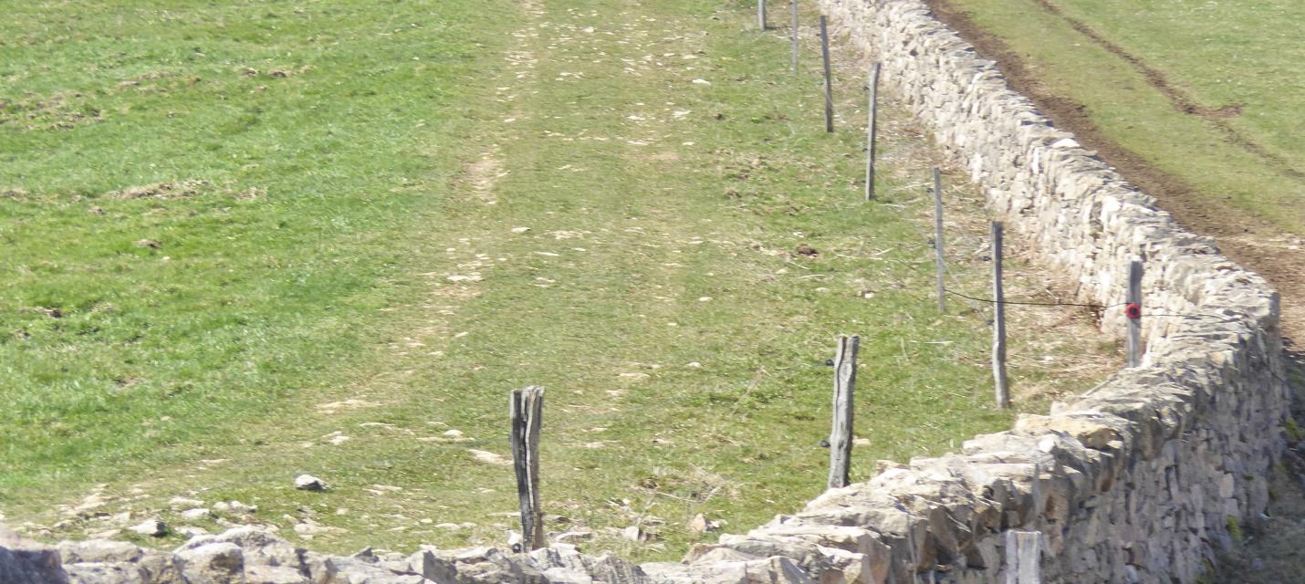 Trockenmauer auf dem Propstenberg